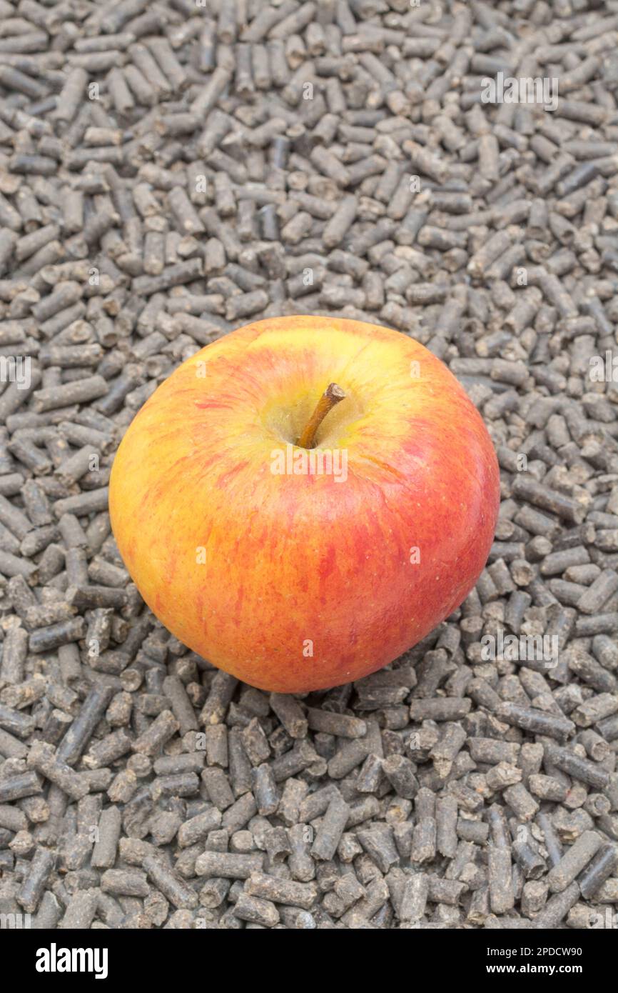 Animal feed pellets and human food side by side. For animal / livestock rearing. Apples are a