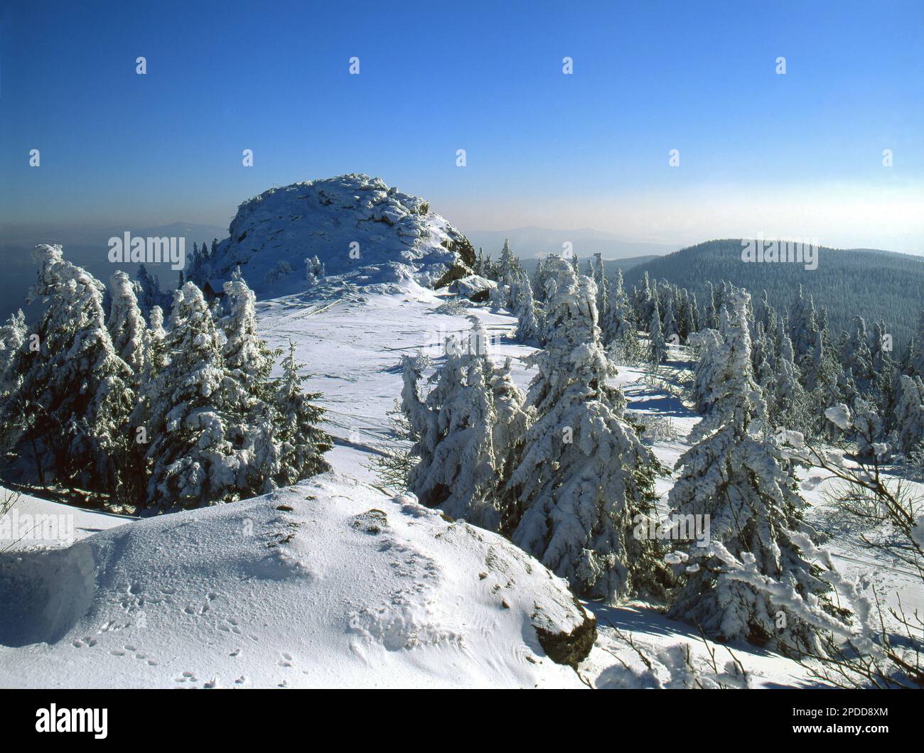 arber in winter, Germany, Bavaria, Bavarian Forest National Park Stock Photo