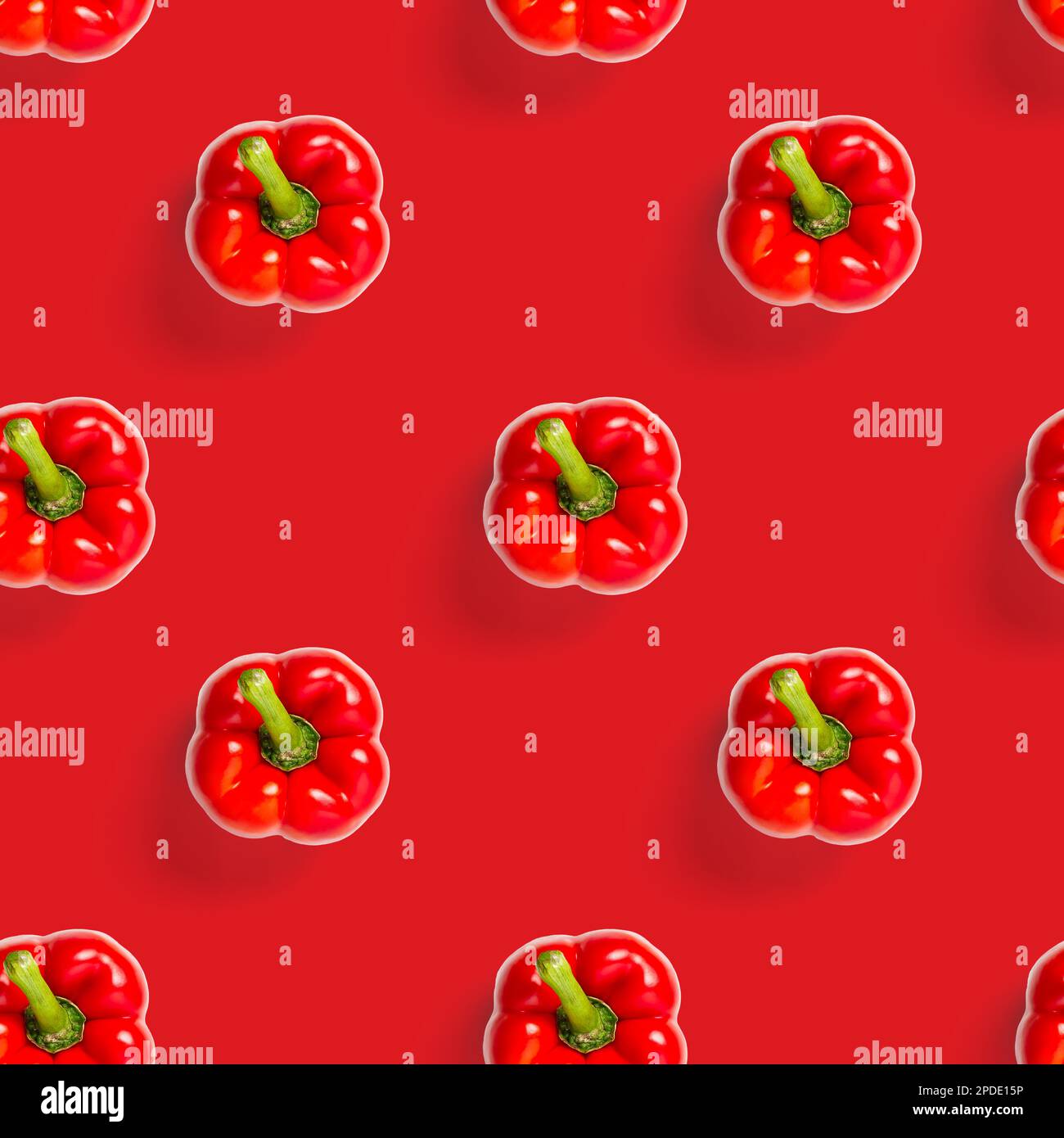 seamless pattern of bulgarian red pepper on red background. wallpaper ...