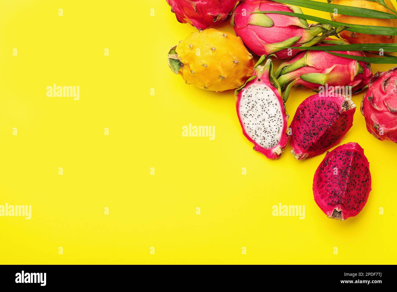 Different Pitahaya Fruits And Palm Leaf On Yellow Background Flat Lay Different Pitahaya Fruits And Palm Leaf On Yellow Background Flat Lay Space For Text 2PDF7TJ