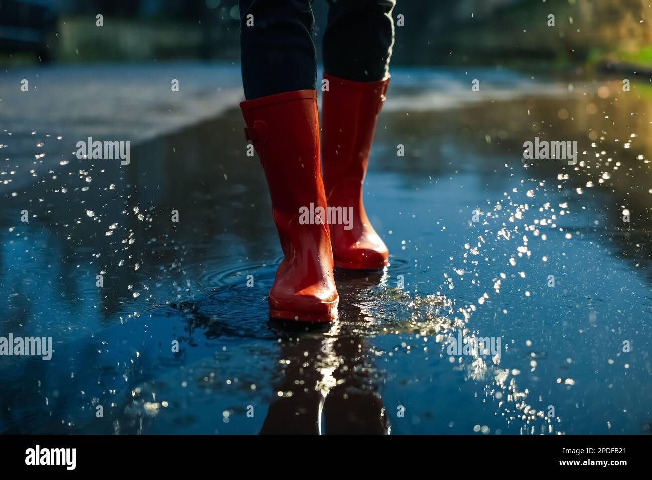 Woman with red rubber boots walking in puddle, closeup. Rainy weather