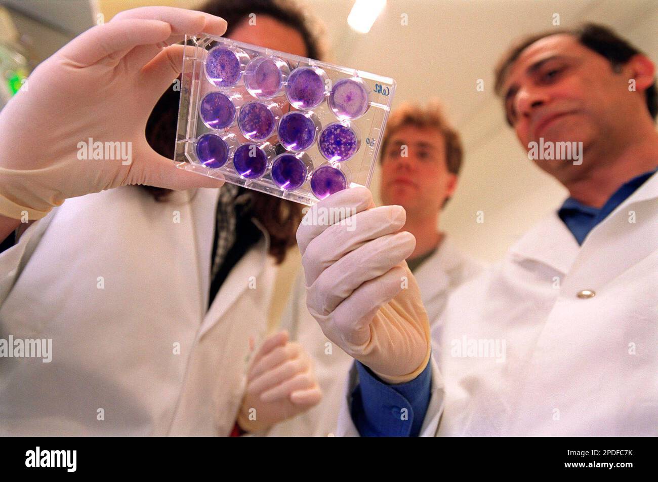 Professor Hussein Naim, right, Maddalena Palumbo, left, and Matthias  Liniger, behind, of the SARS research team of Swiss biotech company Berna  Biotech discuss samples containing the SARS virus in Berne, Switzerland, in