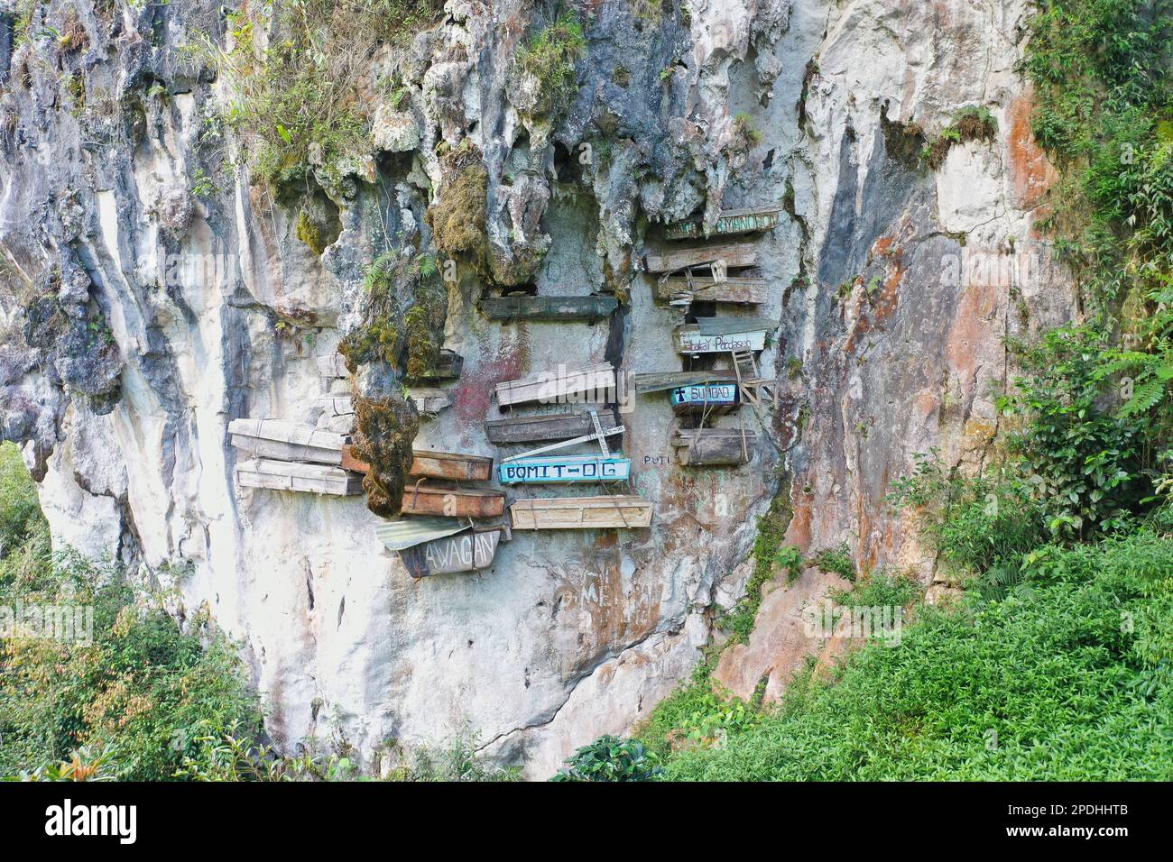 The hanging coffins of Sagada on an imposing white rock wall surrounded by bushes. Stock Photo