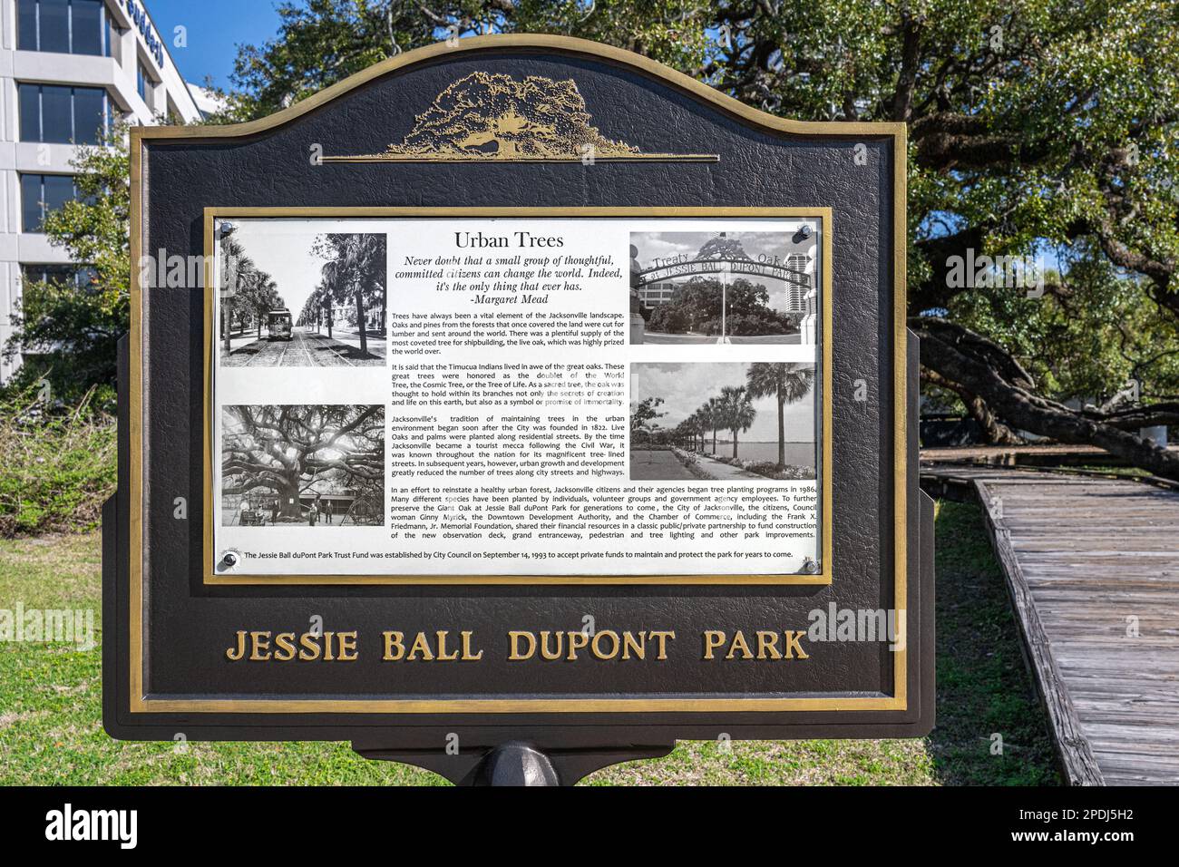 Jacksonville, Florida, Urban Trees historical marker in front of the ancient Treaty Oak at Jessie Ball duPont Park in Jacksonville's Southbank Area. Stock Photo