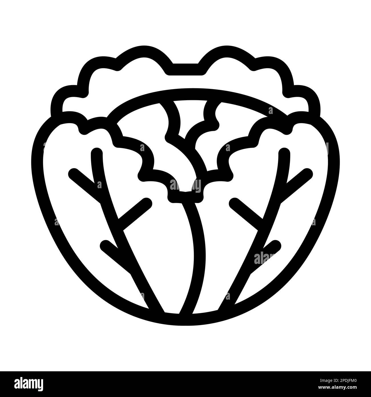 Cabbage Vector Thick Line Icon For Personal And Commercial Use Stock ...