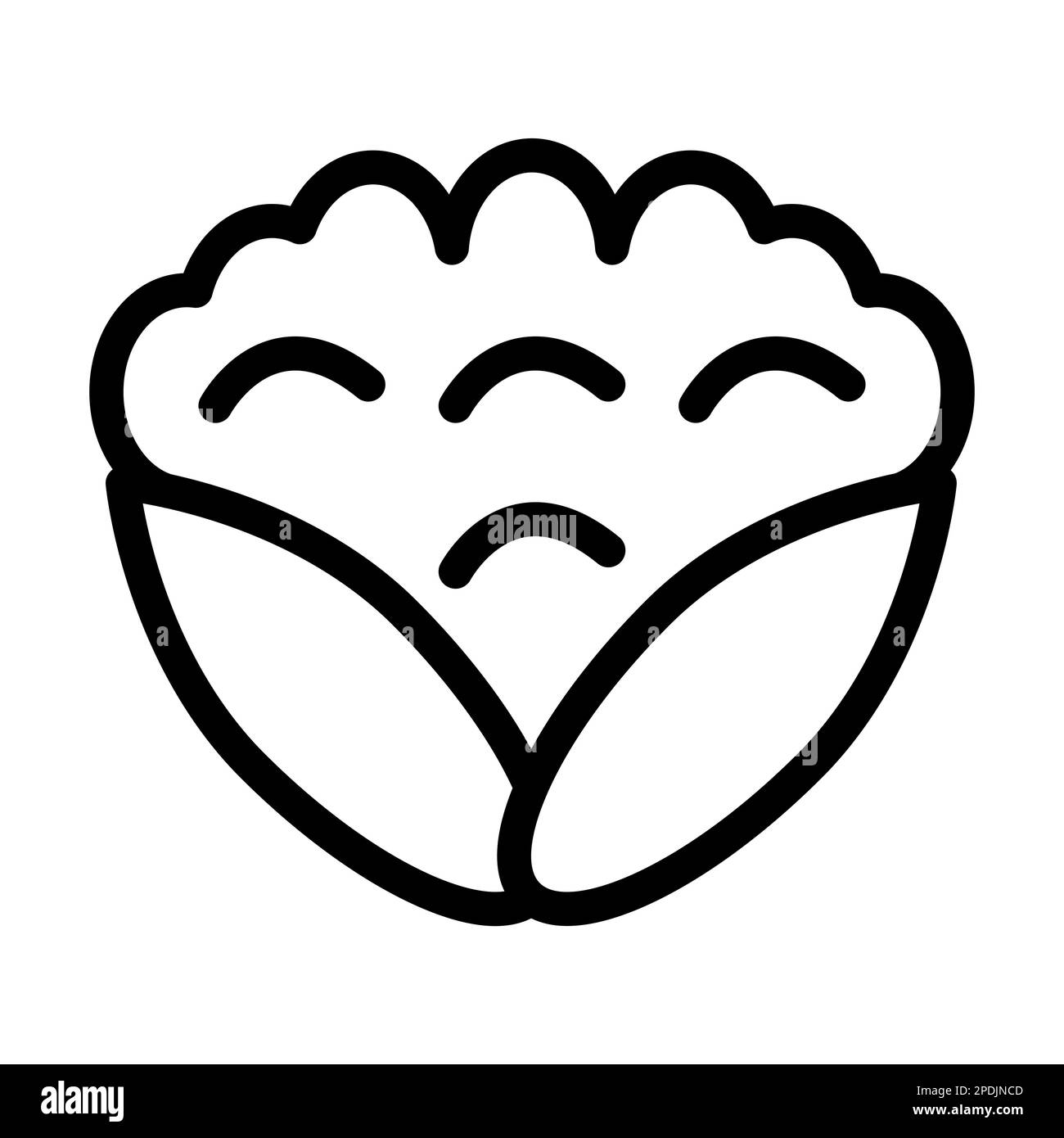 Cauliflower Vector Thick Line Icon For Personal And Commercial Use ...