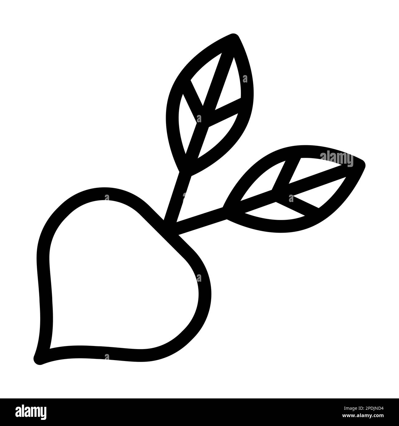 Beetroot Vector Thick Line Icon For Personal And Commercial Use Stock ...
