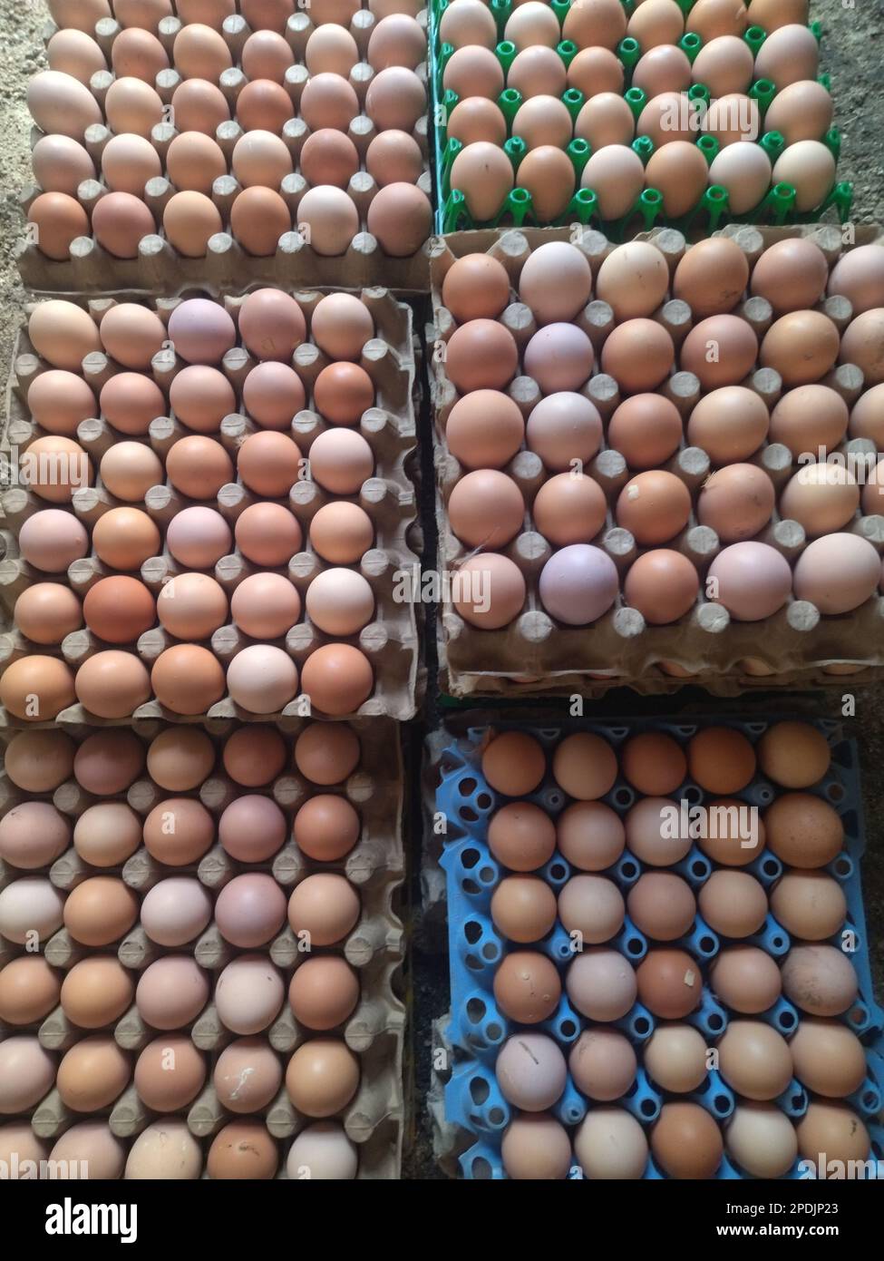 chicken eggs in bulk, already fertilized Stock Photo Alamy