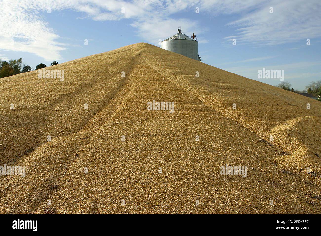 The top of a grain elevator is visible behind a mountain of corn piled up on the ground in