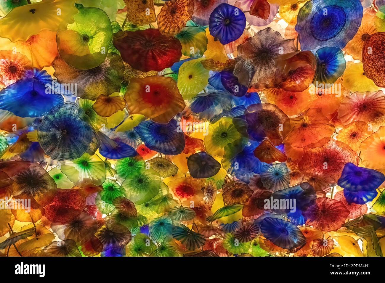 Closeup of the Dale Chihuly blown glass sculpture installed on the ceiling of the Bellagio Hotel and Casino in Las Vegas, Nevada USA. Stock Photo