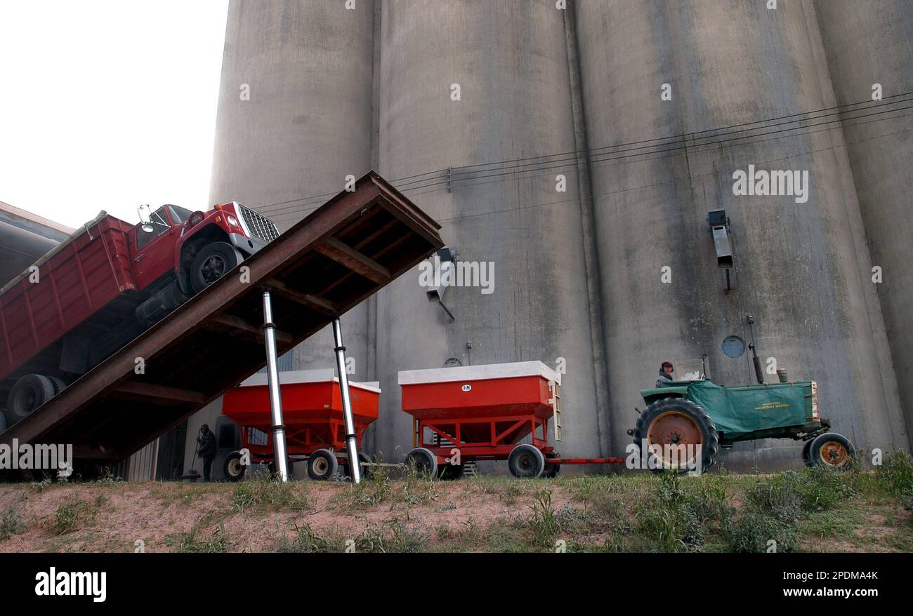 A farmer pulls away after dumping corn, Thursday, Oct. 27, 2005, at the