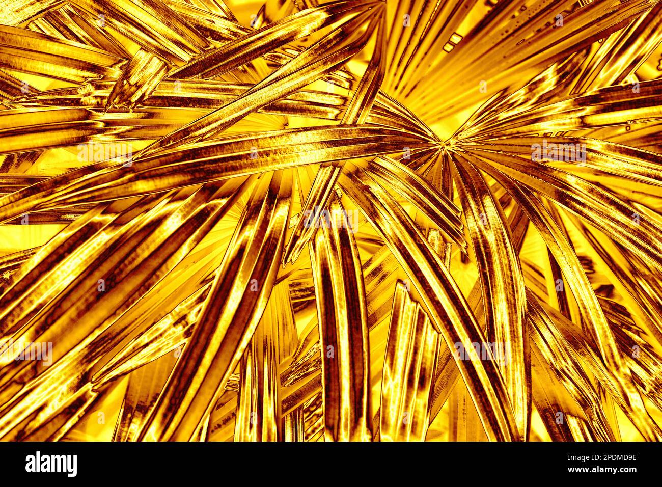 Golden palm tree leaves background, gold flower leaf texture, yellow ...
