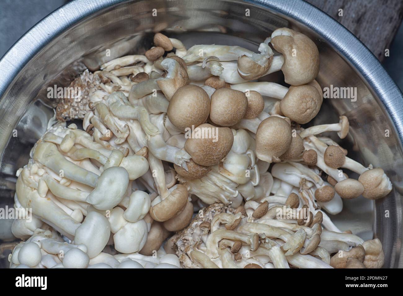 close shot of the cluster clamshell mushrooms Stock Photo Alamy