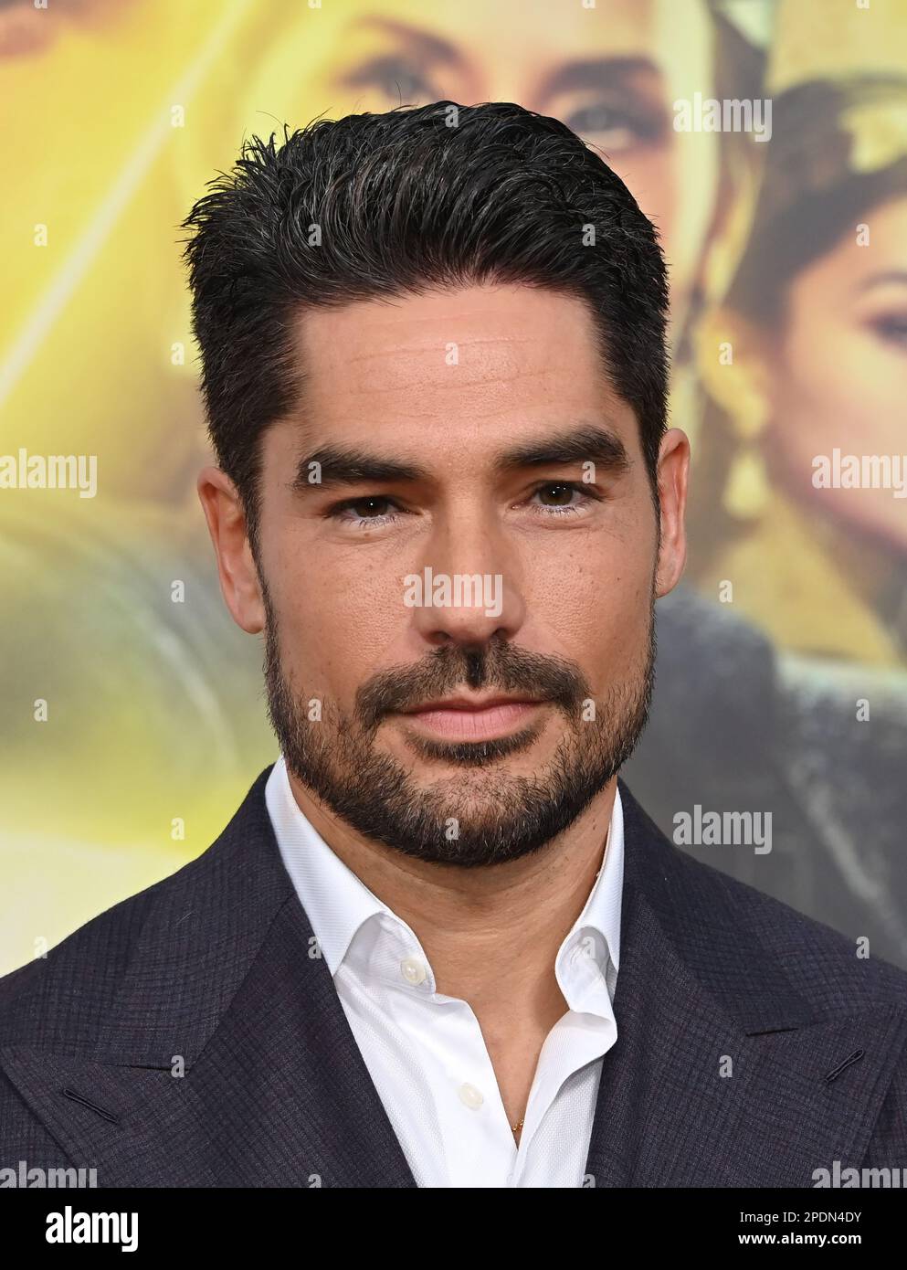 dj cotrona