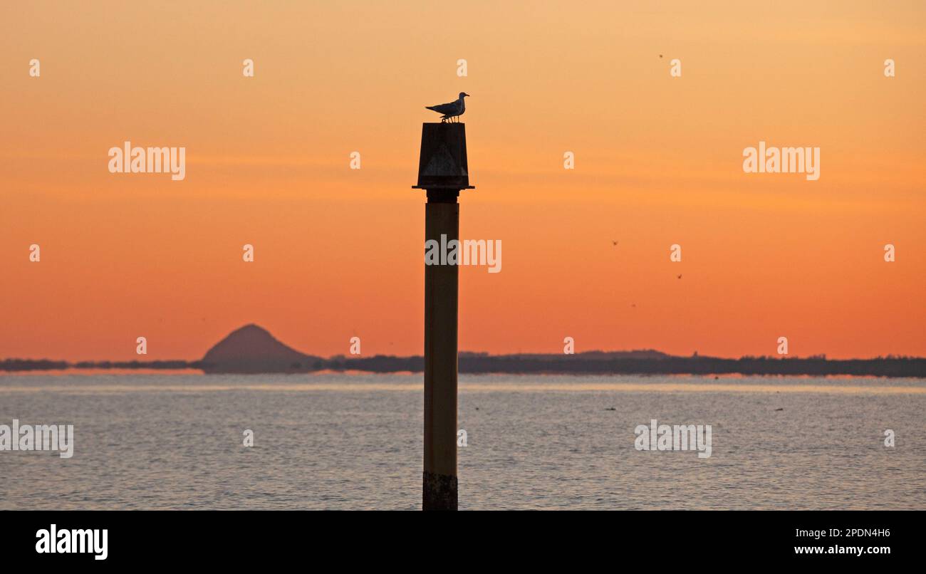 Portobello, Edinburgh, Scotland, UK. 15th March 2023. Temperature minus 4 degrees centigrade made for a freezing dawn at the seaside by the Firth of Forth. Within an hour the sun had disappered behind a veil of cloud.  Credit: Archwhite/alamy live news. Stock Photo