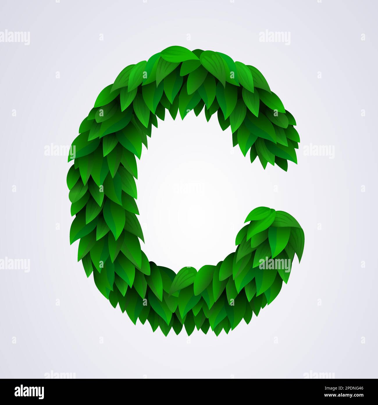 Alphabet letters made from fresh green leafs. Letter C. Vector