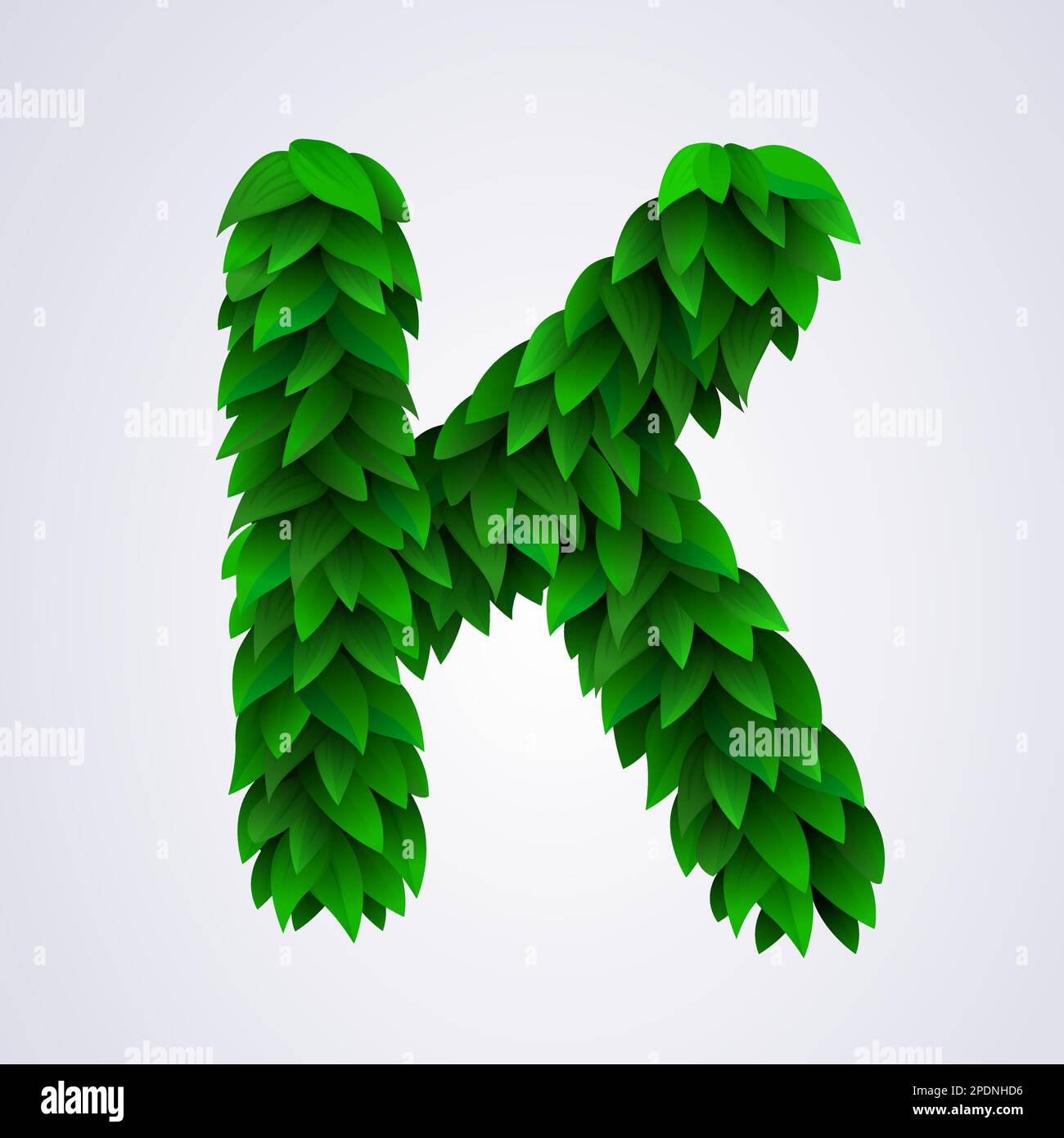 alphabet-letters-made-from-fresh-green-leafs-letter-k-vector