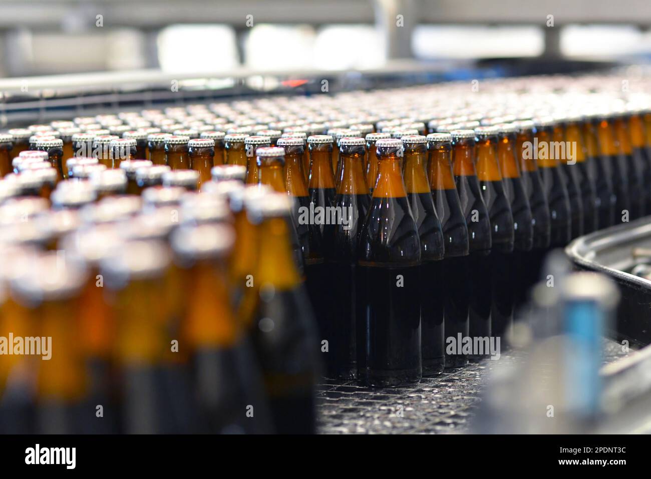 beer bottles on the assembly line in a modern brewery industrial