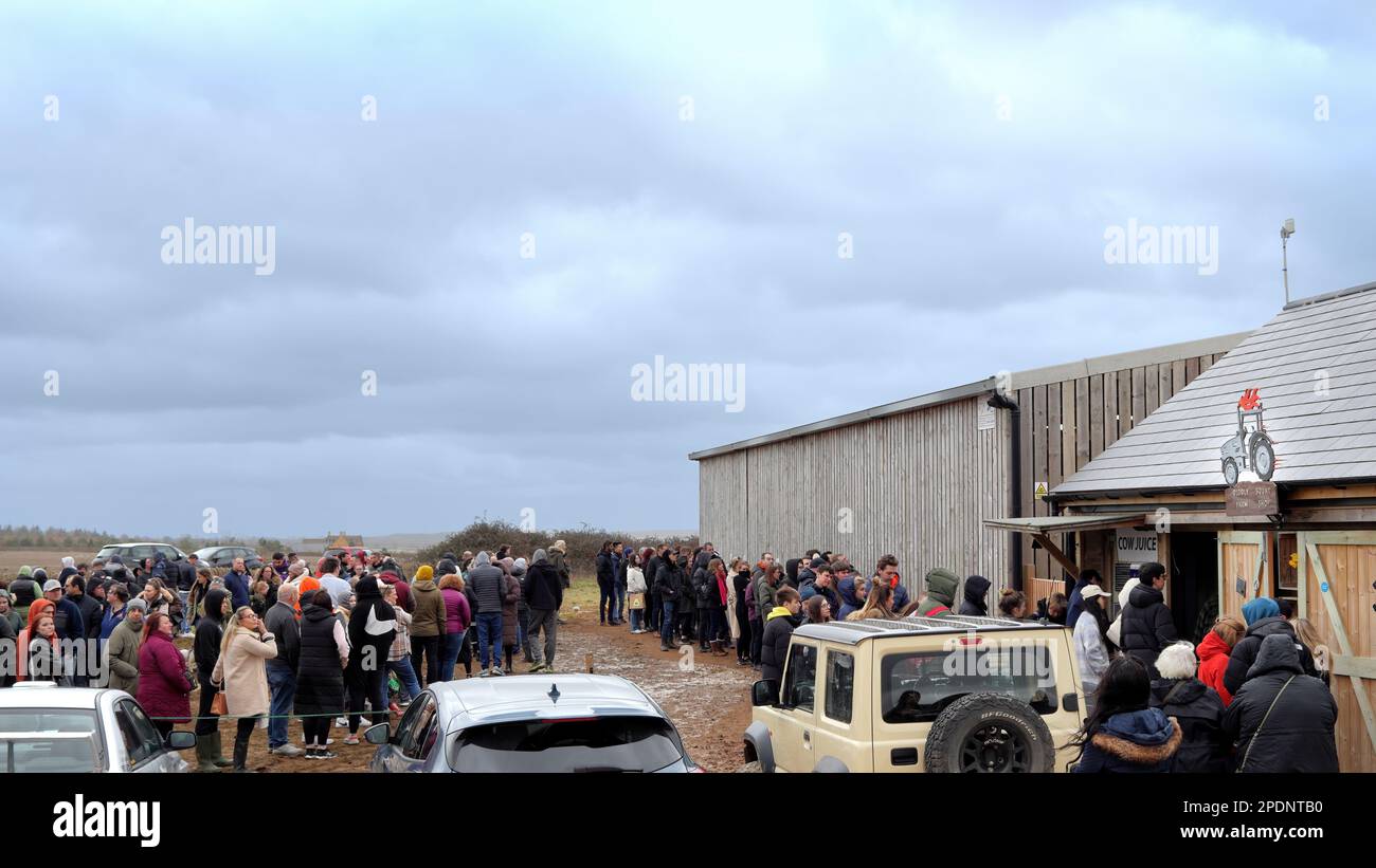 Chipping Norton, UK - March 12, 2023: Crowds of visitors queuing at  Diddly Squat Farm Shop opened in 2020 by Jeremy Clarkson. Stock Photo