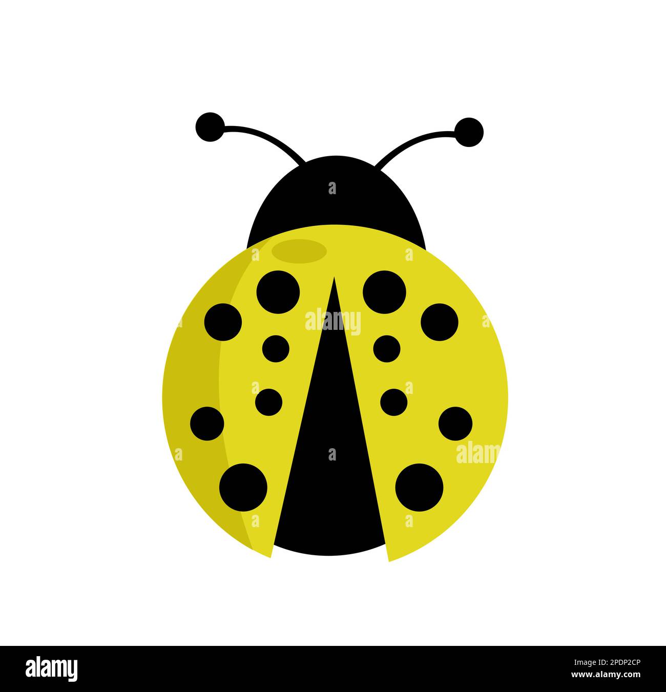 Ladybug vector illustration on white Stock Vector Image & Art - Alamy