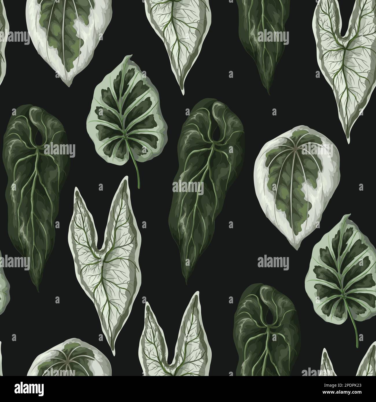 Seamless pattern with tropical leaves on the black background. Vector ...