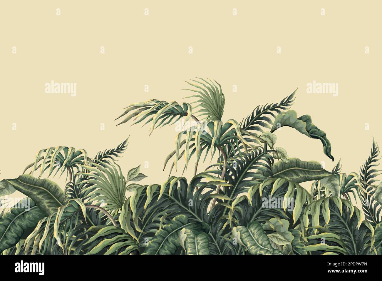 Vintage jungle art hi-res stock photography and images - Alamy