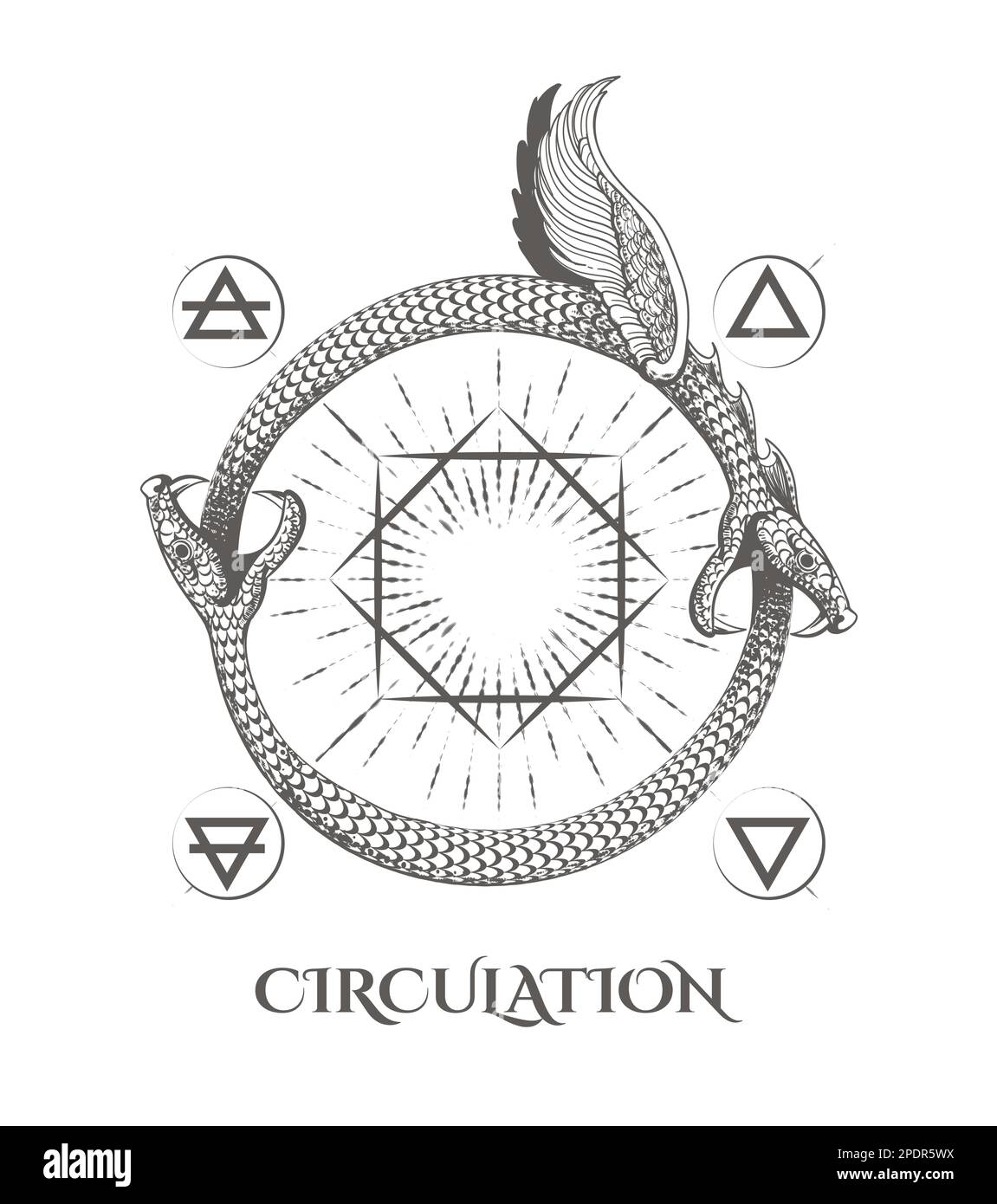 Two Ouroboros Snakes Eat Their Tails and Nature Elements symbol Esoteric Circulation Concept isolated on white. Vector illustration. Stock Vector