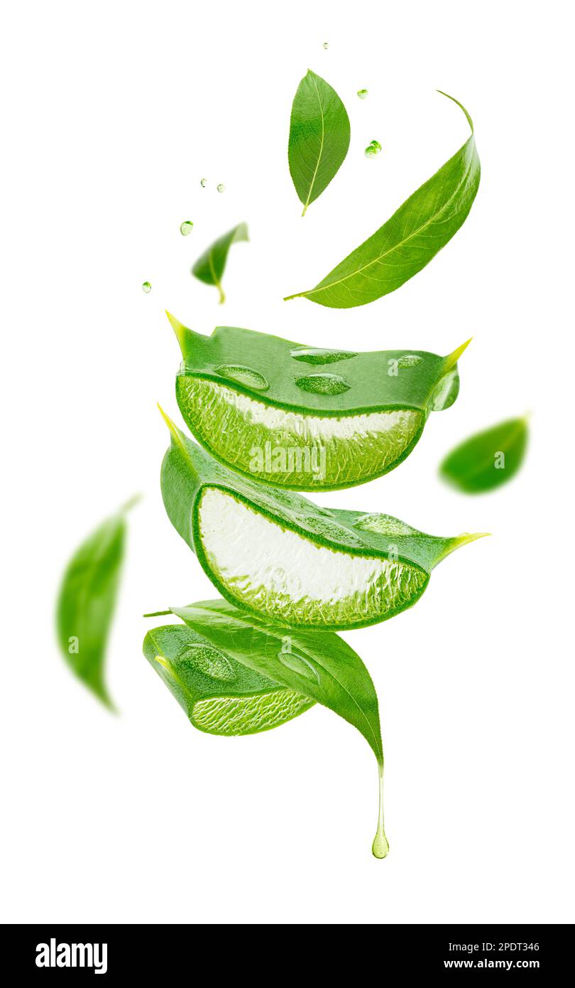 Composition of flying tea leaves and aloe vera isolated on white ...