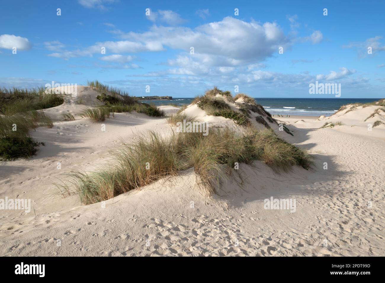 Sand dunes behind Praia da Cova da Alfarroba beach, Peniche, Central Region, Portugal, Europe Stock Photo
