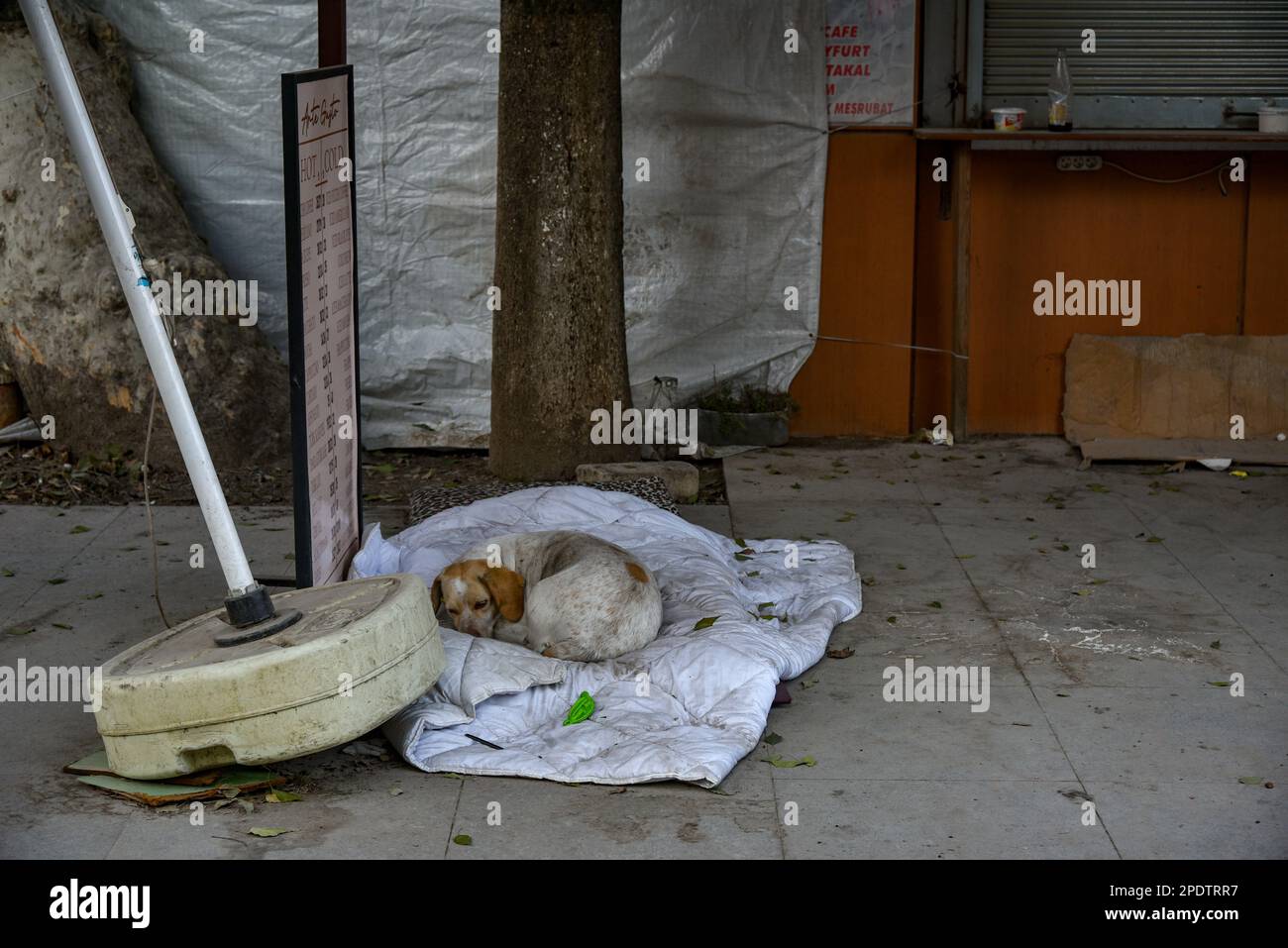 Turkey and Syria Earthquake 2023. A devastating magnitude 7.8