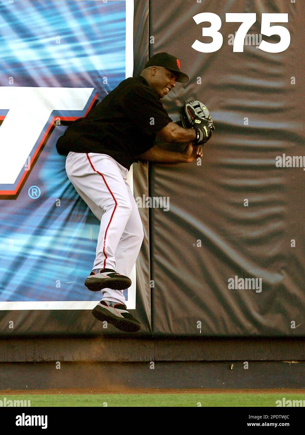 San Francisco Giants' Barry Bonds bumps into the outfield wall while  shagging fly balls during batting practice before their game with the Los  Angeles Dodgers Tuesday, Sept. 6, 2005, in Los Angeles. (