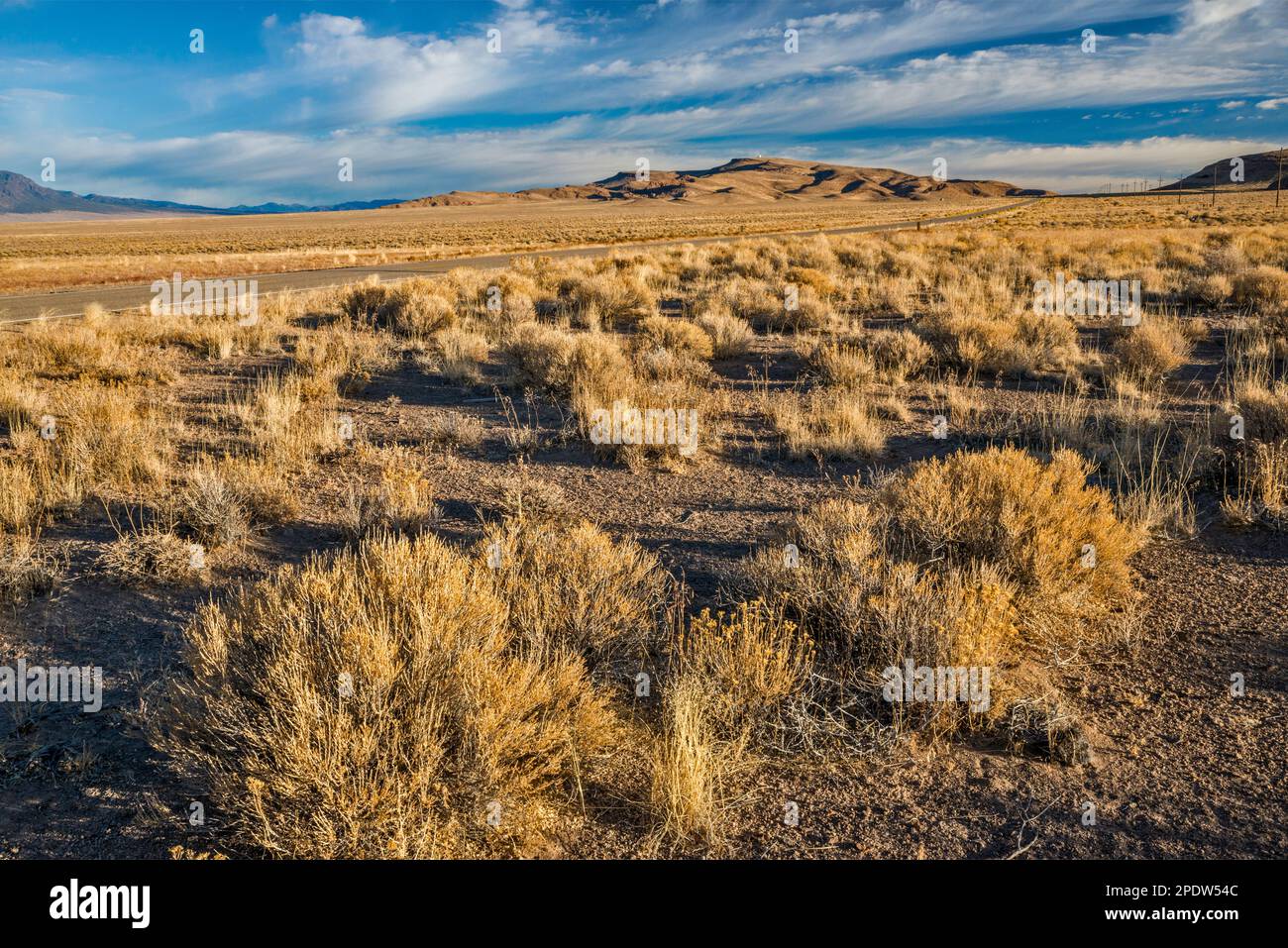 Sagebrush, ricegrass in Great Basin Desert, radar station at Halligan Mesa, Pancake Range, Grand Army of the Republic Highway (US 6), Nevada, USA Stock Photo