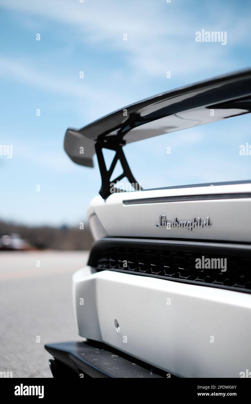 A close up shot of the trunk and tail end of a Stock Photo Alamy