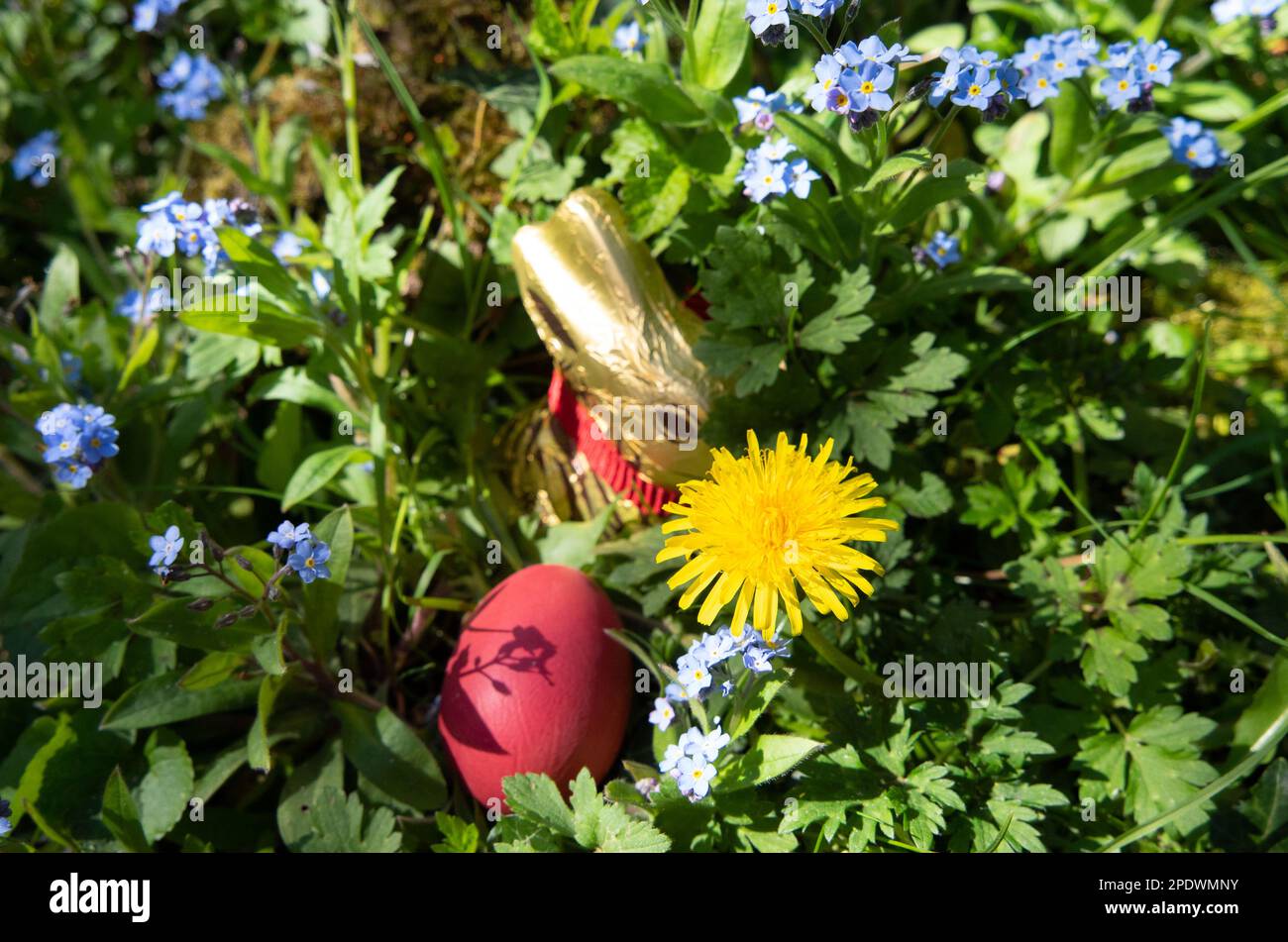Bergheim, Germany. 17th Apr, 2022. ILLUSTRATION A chocolate Easter