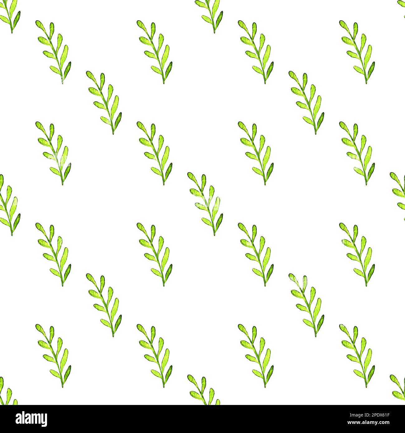 Hand drawn watercolor green leaves seamless pattern Stock Photo - Alamy