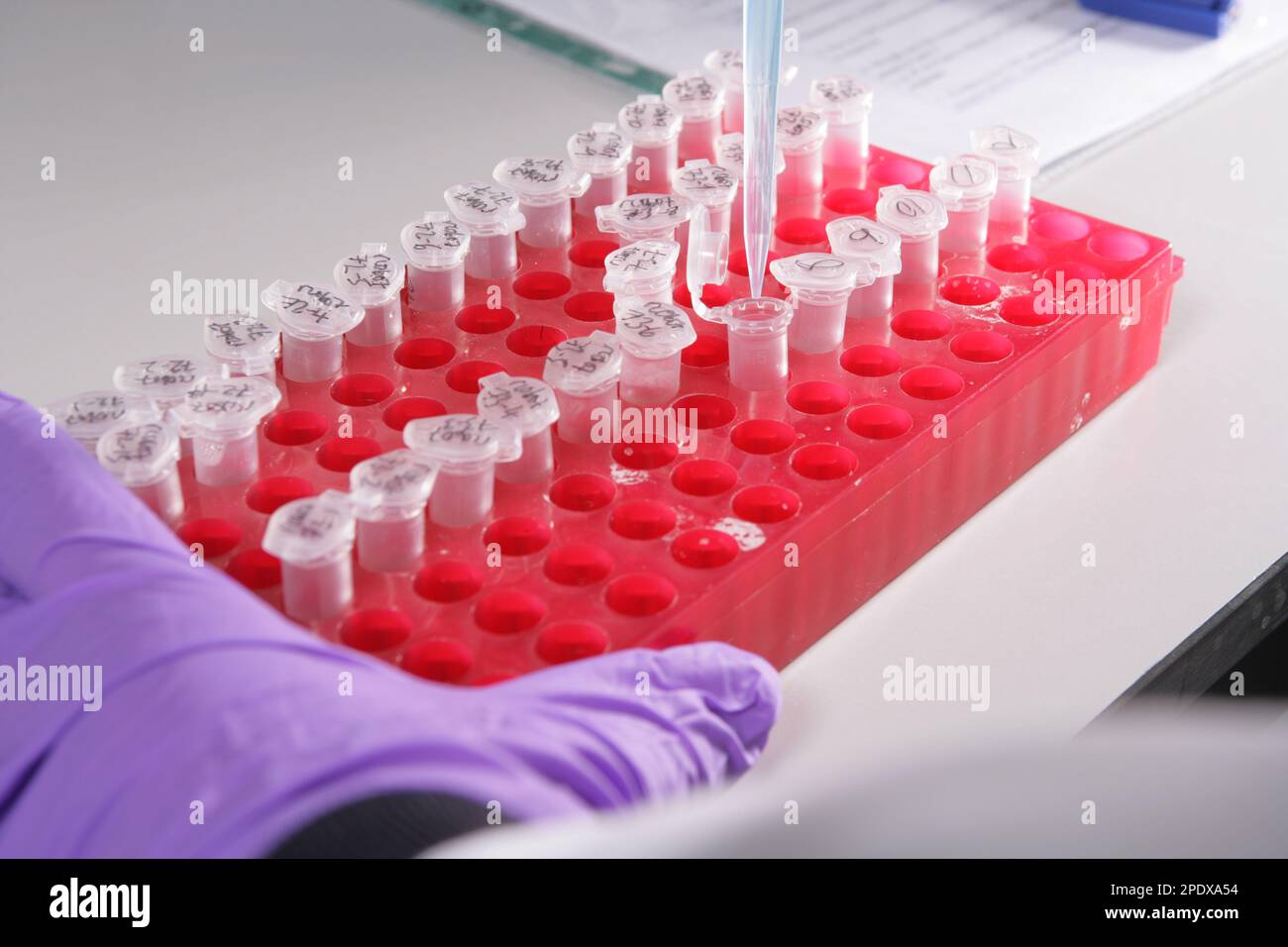 CloseUp Of Test Tubes In Laboratory with Pipette Stock Photo Alamy