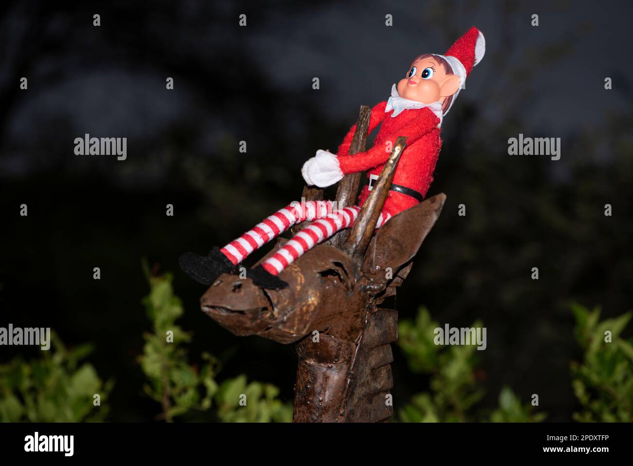 Elf on the Shelf sitting on a metal giraffe in Africa Stock Photo