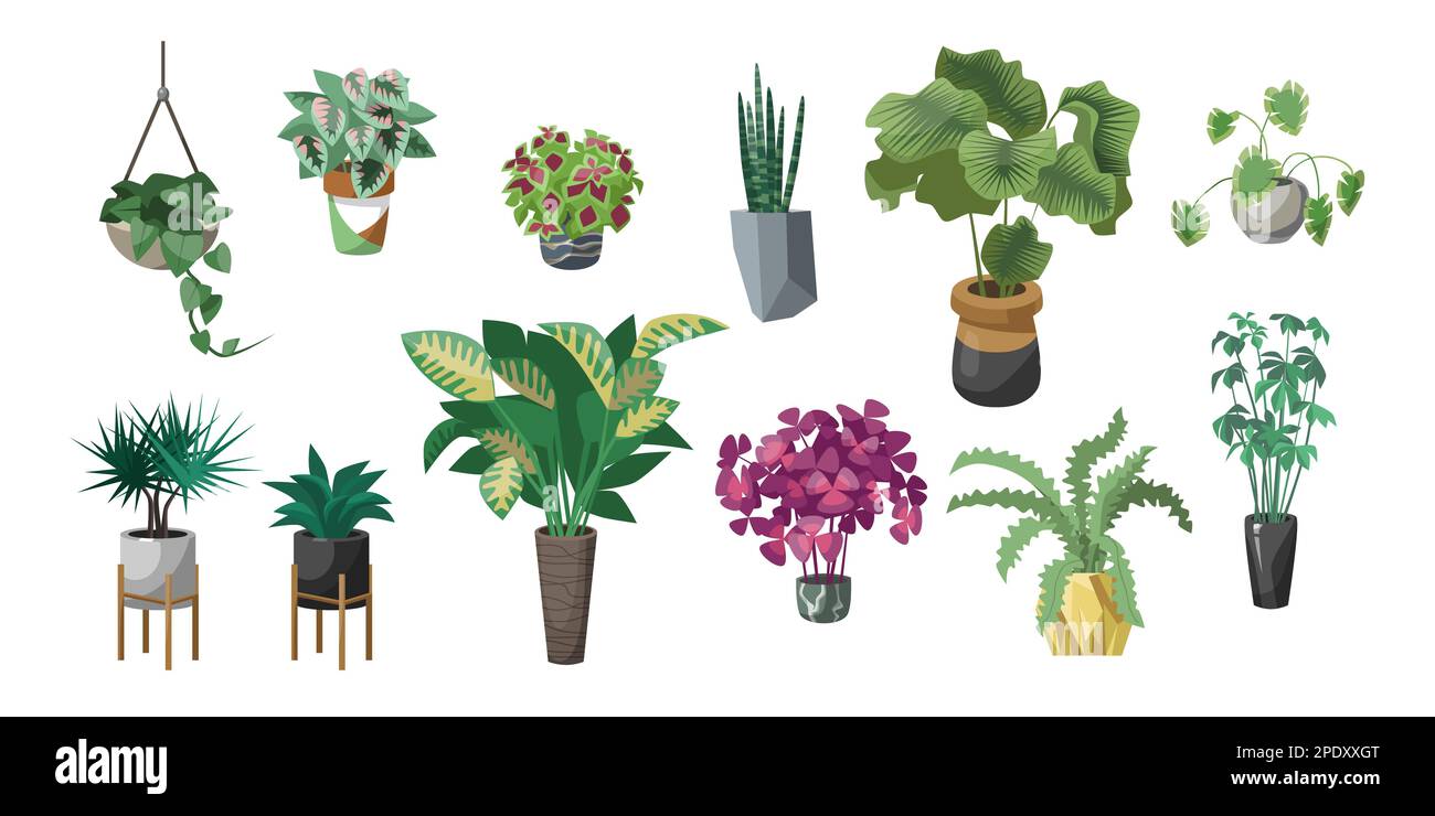 Different plants in pots flat vector illustrations set Stock Vector