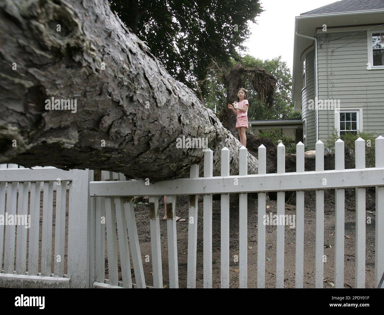 Lindsey Kim, 7, Stands On A Storm-damaged Tree In Her Yard In Ridgewood ...