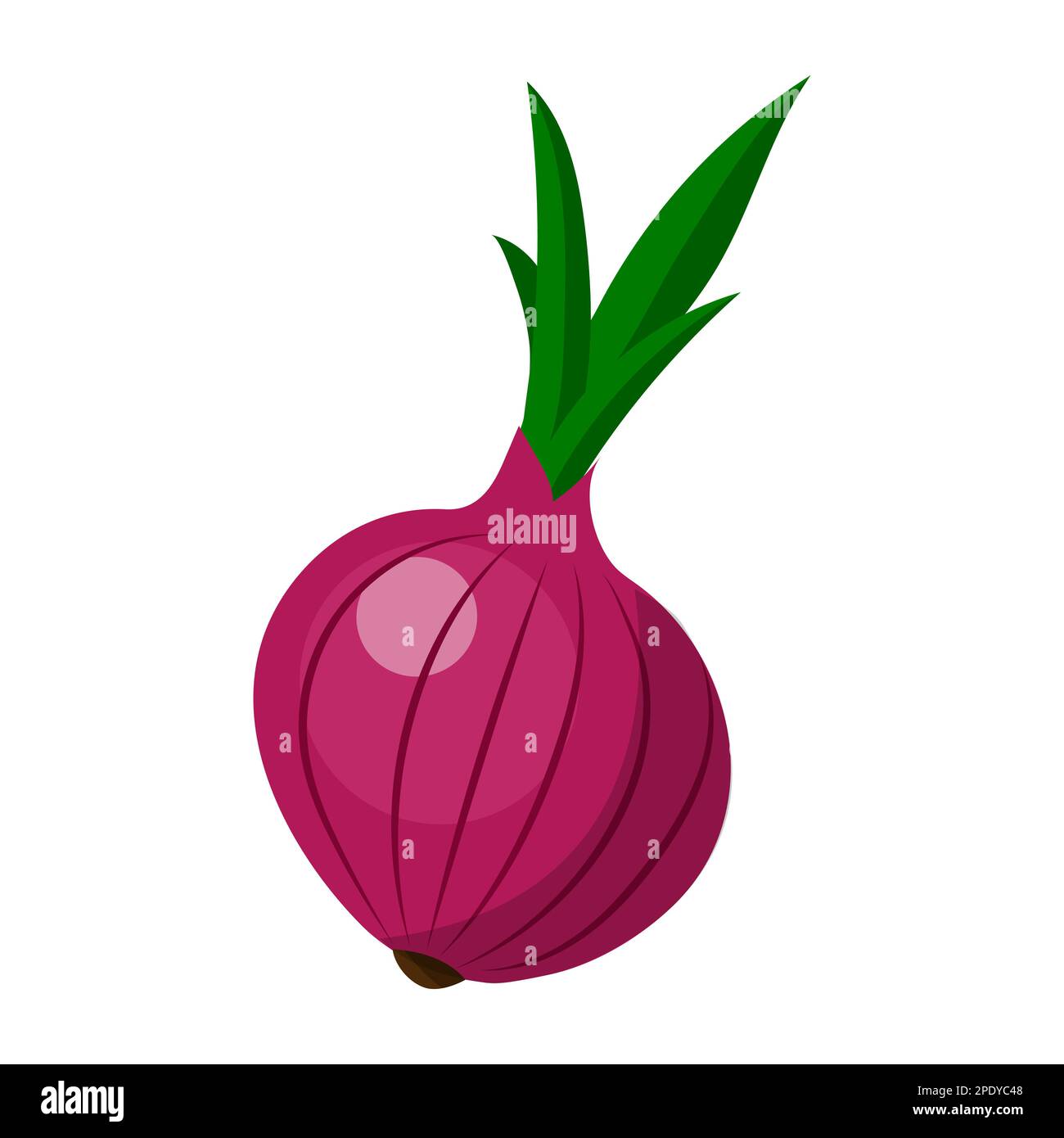 Ring of red onion isolated Stock Vector Images - Alamy