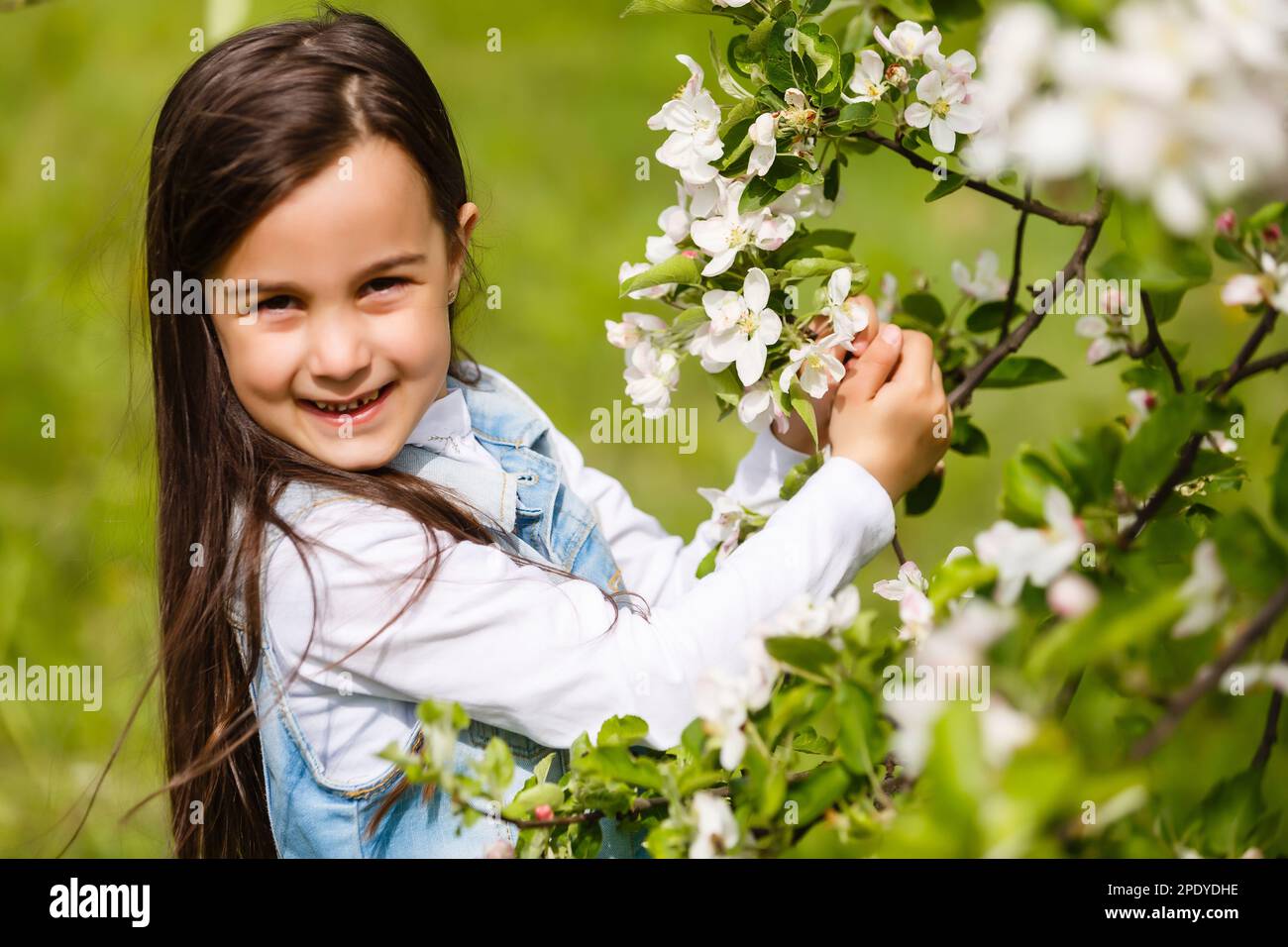 Beautiful girl in flowering Apple trees. Long hair Stock Photo Alamy