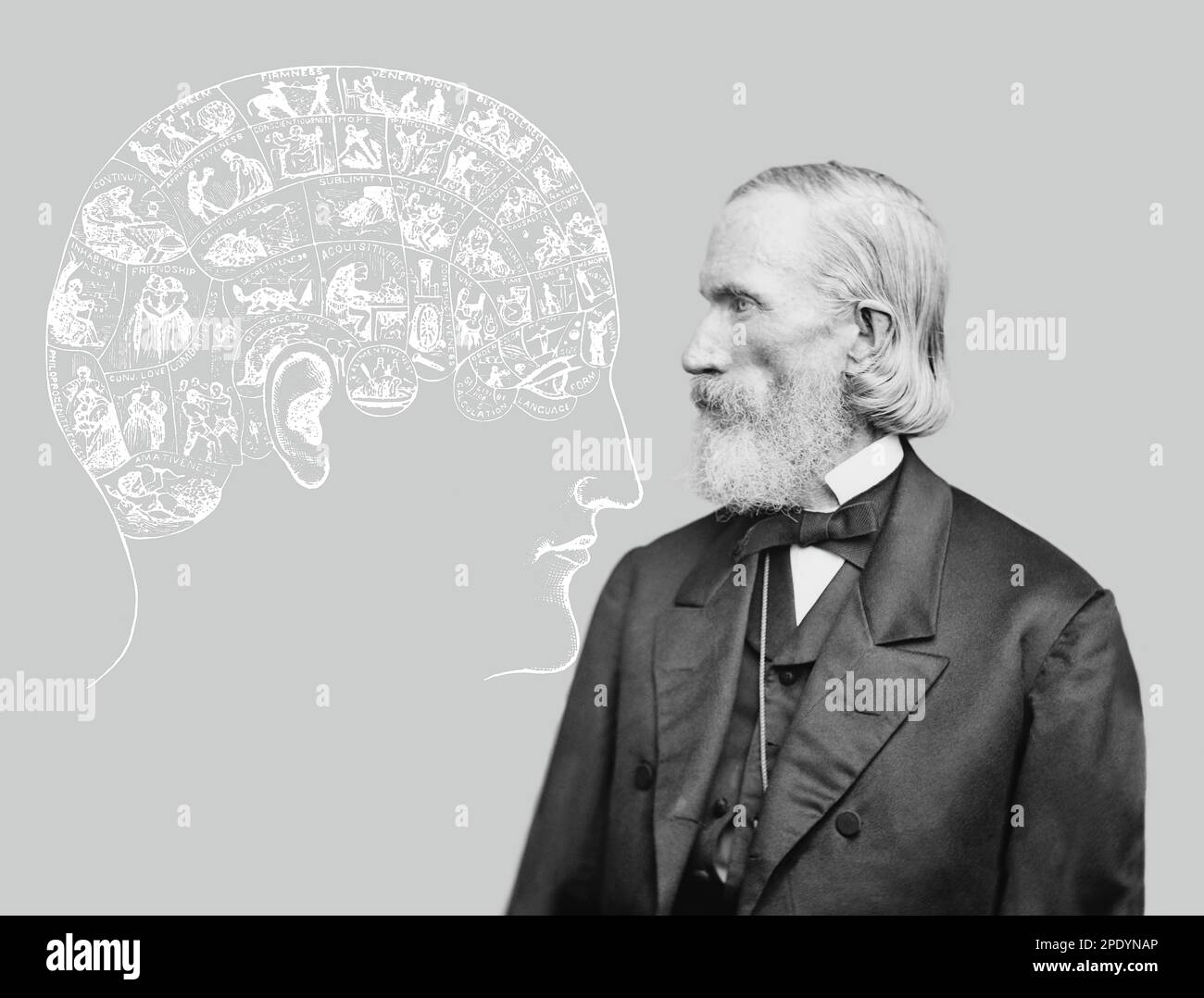 Phrenological chart hi-res stock photography and images - Alamy Phrenological chart hi-res stock photography and images - Alamy