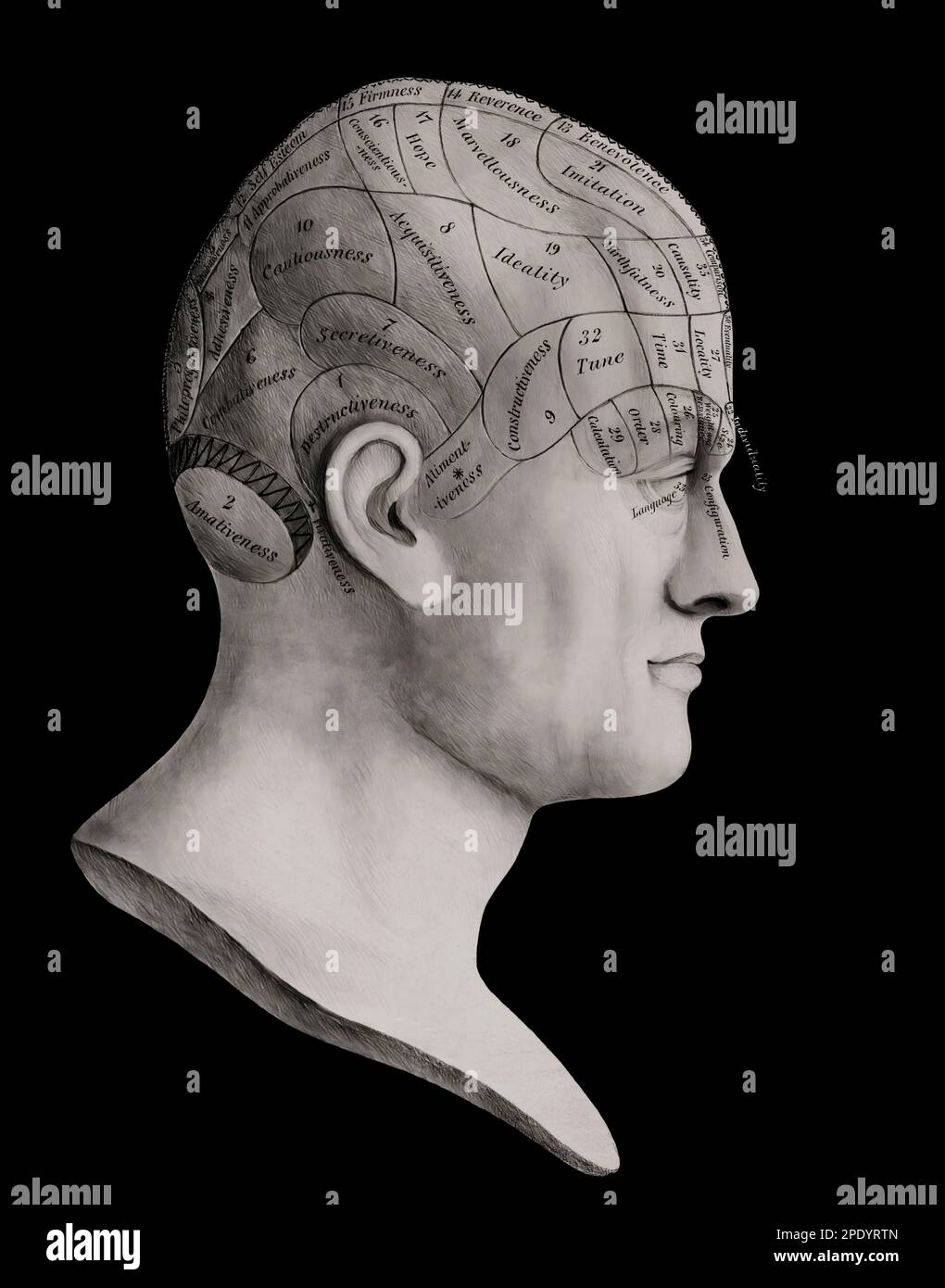 Head with divisions of the organs of phrenology, after Dr. Johann Gaspar Spurzheim, 1776  – 1832, German physician and phrenologist Stock Photo