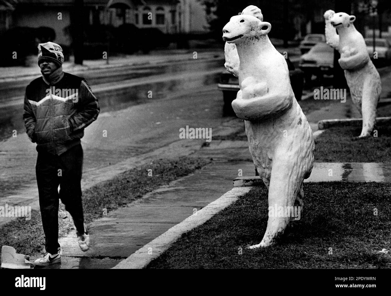 Kim Marthel walks by polar bear statues Dec. 21, 1981, in Nashville
