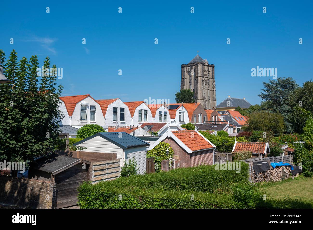 Gardens and backyards in the Weststraat with Sint Lievensmonstertoren, Tower of the Sint Lievens Minster, Zierikzee, Zeeland, Netherlands, Europe Stock Photo
