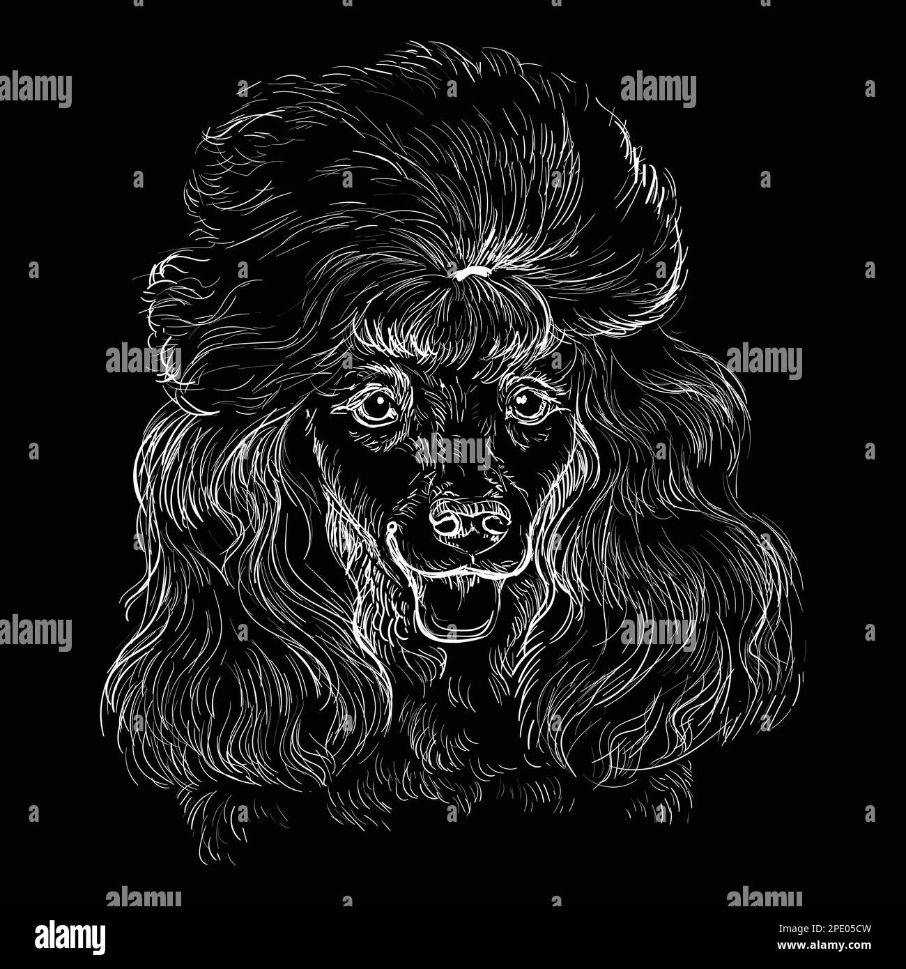 Hand drawn close up Poodlehead in white color on a black background. Engraving vector illustration with a dog. For engraving, decoration, design, prin Stock Vector