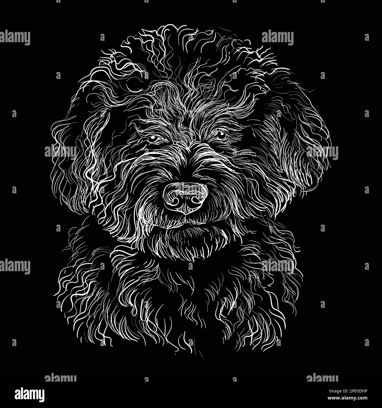 Hand drawn close up Barbet head in white color on a black background. Engraving vector illustration with a dog. For engraving, decoration, design, pri Stock Vector