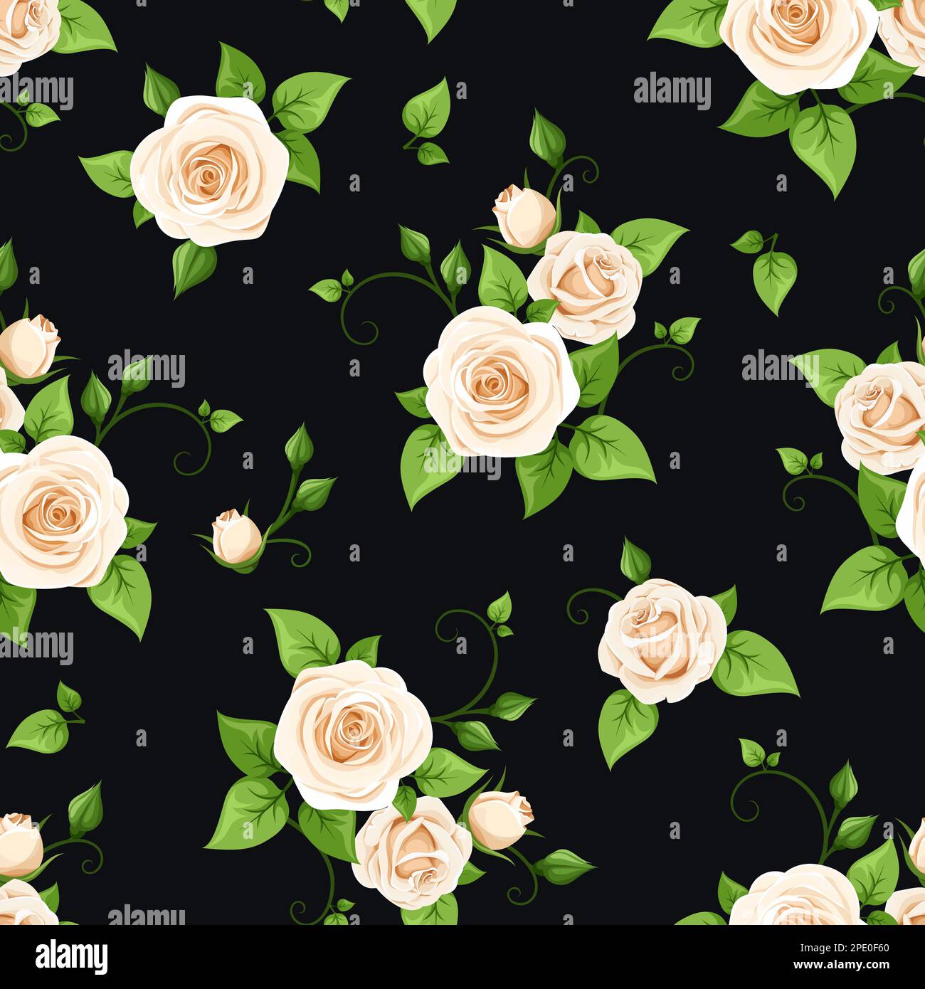 Floral seamless pattern with white rose flowers and green leaves on a ...