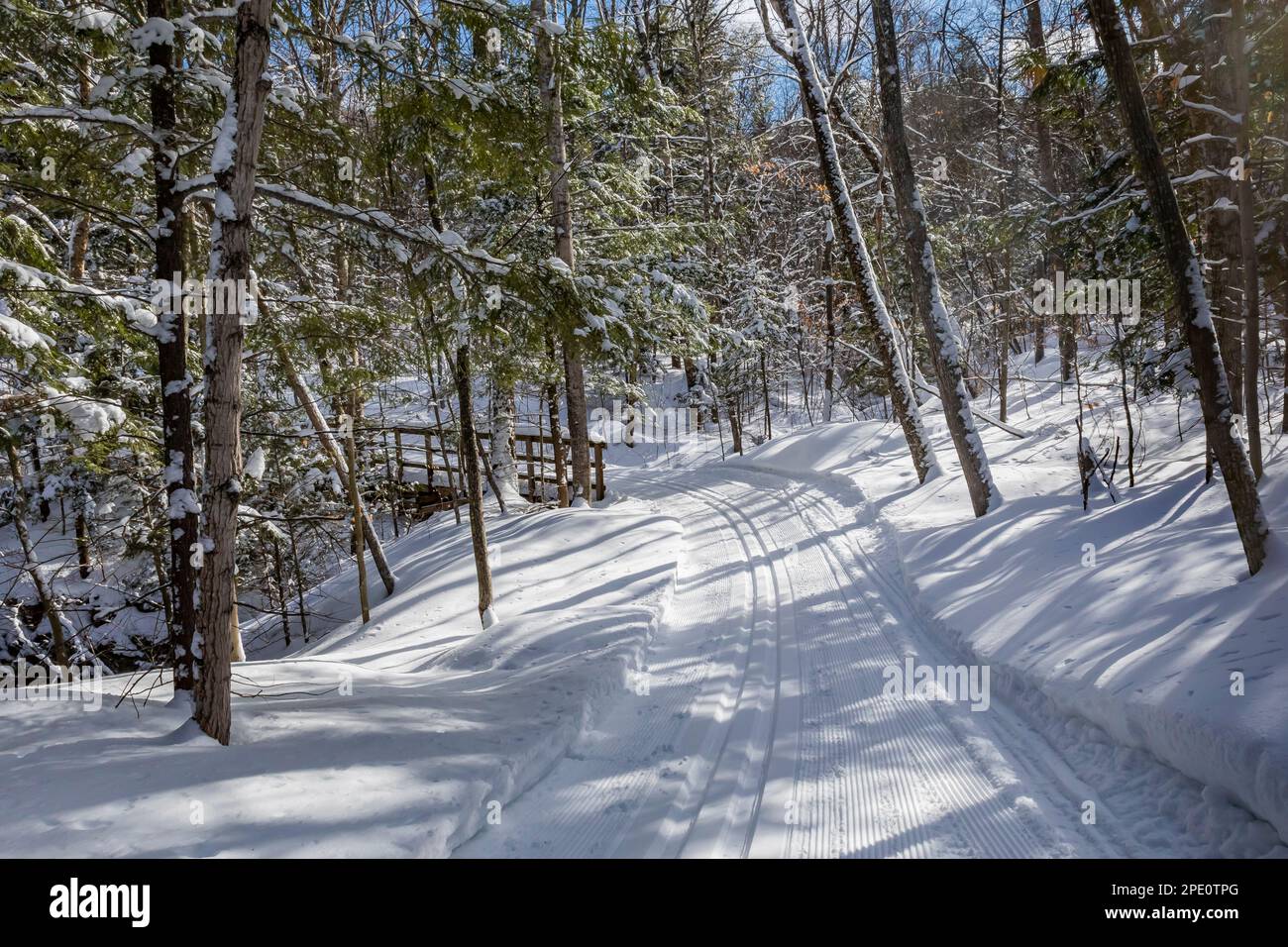 Munising Ski Trails at Pictured Rocks National Lakeshore, Munising, Upper Peninsula, Michigan, USA Stock Photo