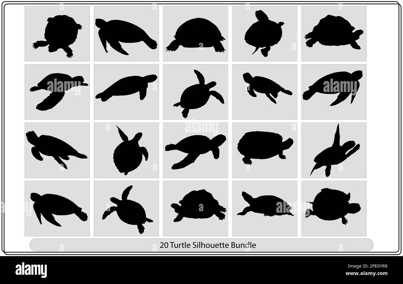 Turtle vector silhouettes collection of turtle vector silhouettes hi ...
